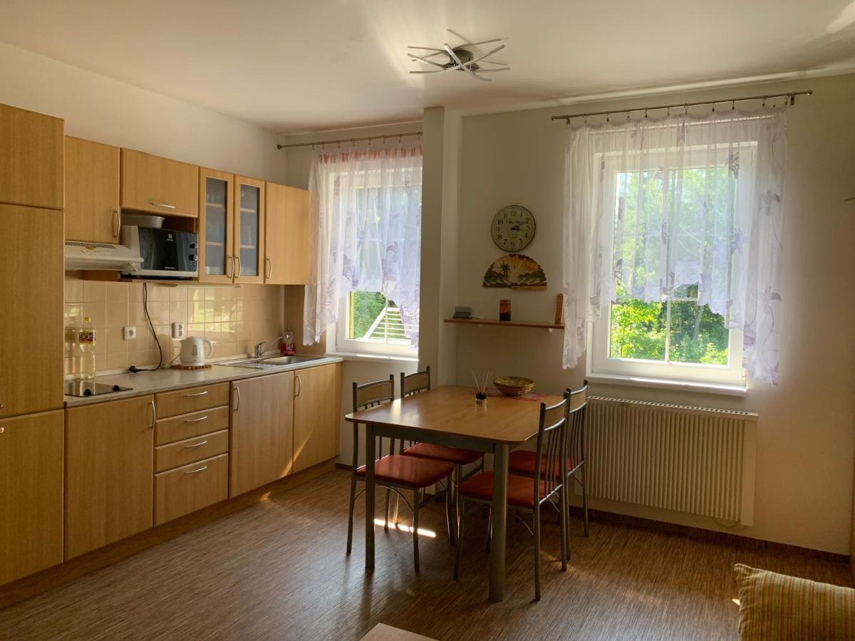 Karlov pod Pradědem Apartmány Orbit Exterior foto